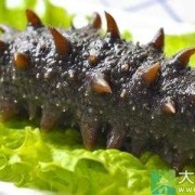 孕期吃海参有什么好处（怀孕几个月吃海参好）