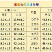 婴儿头围前后径和左右径怎么量,怎样摸胎儿头部位置图片
