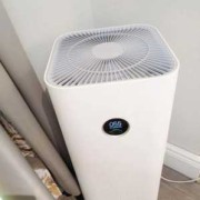 怀孕7周用米家空气净化器MAX鼻塞对胎儿有影响吗,孕期鼻塞对胎儿的影响有哪些