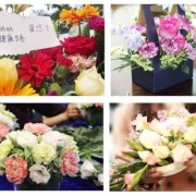 关于孕妇母亲节的插花活动主持词,孕期插花的好处