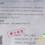 胎儿 亲子鉴定（什么是亲子鉴定）