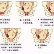 初产孕妇孕晚期一般宝宝什么时候入盆，入盆后隔多久会生产,孕晚期胎儿几周入盆正常