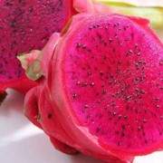 孕妇吃火龙果对胎儿好吗（孕妇吃火龙果对胎儿好吗有影响吗）