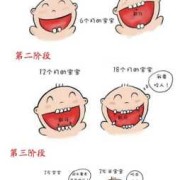 胎儿就长牙（婴儿何时长牙）