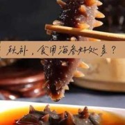 孕期吃海参好处和坏处（孕妇一天一个海参可以吗）