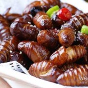 孕期能吃蚕蛹吗（蚕蛹对女性的好处）