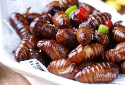 孕期能吃蚕蛹吗（蚕蛹对女性的好处）