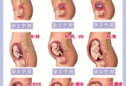 孕期全知道（孕期全知道）