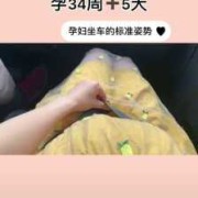 怀孕期间坐车（怀孕期间坐车能坐多长时间）