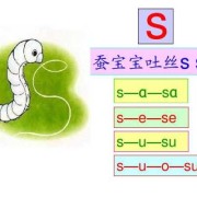 胎儿的拼音（胎儿的拼音怎么写）