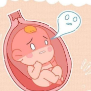 孕期吵架会影响胎儿吗（孕期吵架会影响胎儿吗视频）