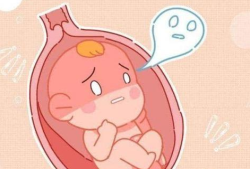 孕期吵架会影响胎儿吗（孕期吵架会影响胎儿吗视频）