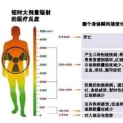 胎儿几个月最怕辐射（胎儿几个月最怕辐射和辐射）