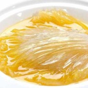 孕期吃鱼翅（为什么不能吃鱼翅）