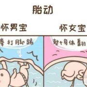 胎儿头大腿短是畸形吗（胎儿头大腿短是畸形吗图片）