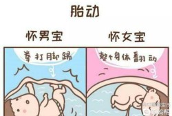 胎儿头大腿短是畸形吗（胎儿头大腿短是畸形吗图片）
