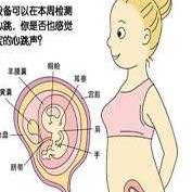 胎儿是在肚子哪个位置（胎儿是在肚子哪个位置示意图）