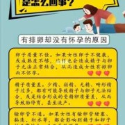 怀孕期间会不会排卵（怀孕期间会不会排卵?）