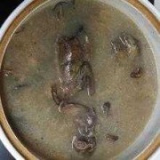 斑鸠怎样炖好吃,吃野生斑鸠的好处和坏处