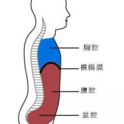 什么是胎儿呼吸样运动（五十天宝宝呼吸声音大，怎么回事）