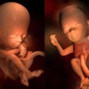 23周胎儿在肚子里图片（23周胎儿在肚子里姿势图片）