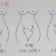 胎儿的胎心在哪个位置听,胎心是胎儿的什么部位跳动