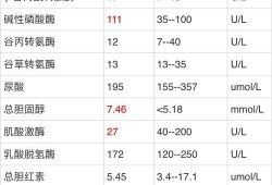 孕期生化检查（生化全套检查什么）
