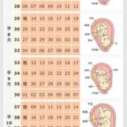 孕期九个月（孕期九个月是多少周）
