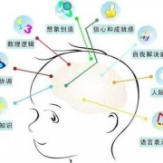 胎儿大脑发育（胎儿大脑发育是几个月）