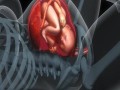 孕37周胎儿多大,孕37周胎儿图片真实