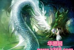 水中龙的寓意是什么,孕期梦到龙是什么征兆