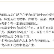 亚硝酸盐对胎儿的影响（亚硝酸盐对胎儿的影响大吗）