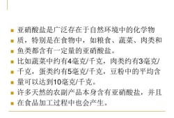 亚硝酸盐对胎儿的影响（亚硝酸盐对胎儿的影响大吗）