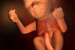 怀孕发烧会影响胎儿吗（我怀孕三个月了，发烧38度对胎儿有影响吗）