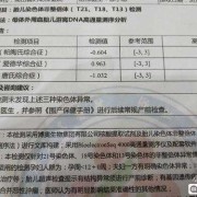 胎儿无创dna（无创dna是什么）