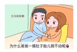 四岁宝宝还爱摸妈妈的危害,爸爸摸胎儿肚子为什么不动