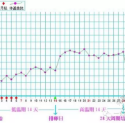 易孕期的症状（易孕期的症状有哪些）