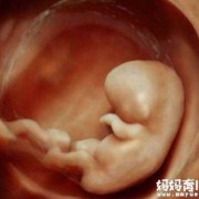 一个月的胎儿是什么样的（一个月的胎儿是什么样的图片）