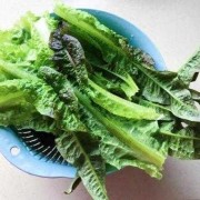 孕妇可以吃莴笋叶吗,孕期不能碰的18种蔬菜