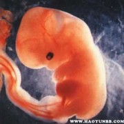 90天的孩子应该会什么,怀孕九十天的胎儿图片真实