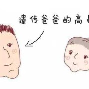 新生儿怎么看鼻梁高不高我老公鼻子很高,胎儿鼻梁高是男孩吗
