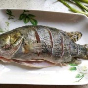 备孕男女吃什么好,备孕期间吃什么鱼好呢