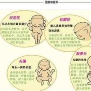 37周胎儿头围偏小（37周胎儿头围偏小有没有什么影响?）