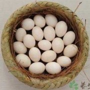 孕期吃鸽子有什么好处（孕妇一天吃几个鸽子蛋？鸽子蛋好还是鸡蛋好）