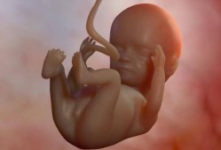 怀孕13周胎动什么感觉？怀孕多少周才会有胎动,怀孕13周胎儿发育图片
