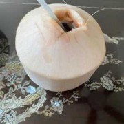 椰青能不能吃，对孕妇有什么作用,孕期吃椰青对胎儿好吗