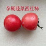 孕期可以吃番茄吗（孕期可以吃番茄吗早期）