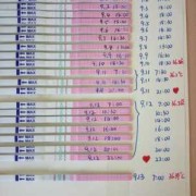 怀孕期间还排卵吗（怀孕期间还排卵吗 还会再次怀孕吗）