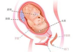 怀孕5周胎儿图（请问怀孕37周的时候胎儿体重5斤正常吗）