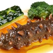 孕妇可以吃海参吗,孕妇一天一个海参可以吗